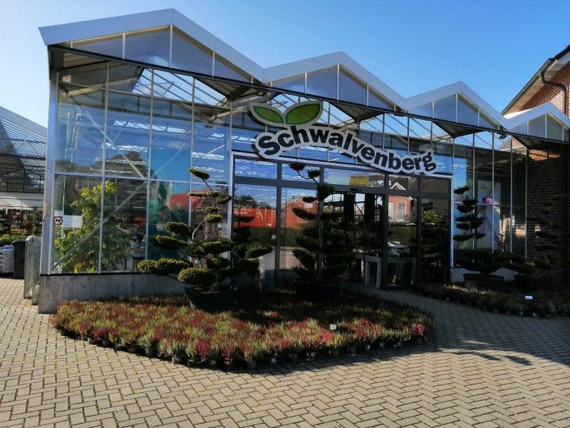 Schwalvenberg - Gärtnerei und Baumschule - Beratung in der Gartnerei Schwalvenberg in Hullern